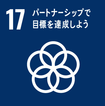 SDGs icon 17